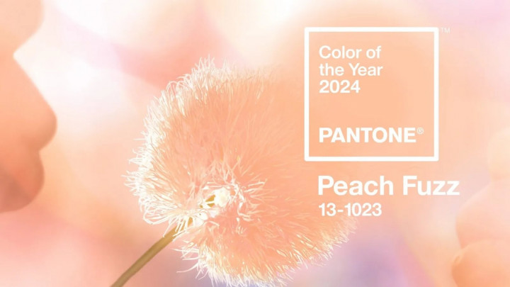 Pantone 2024 Yılının Rengini Seçti