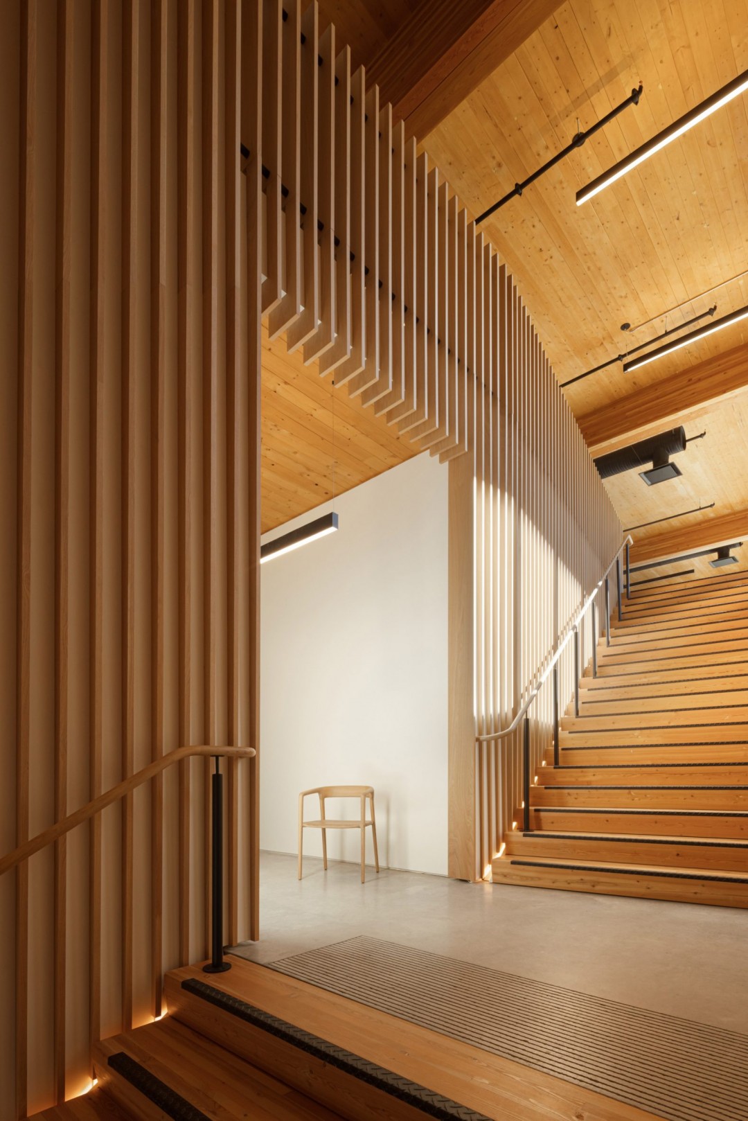 Hemsworth Architecture Kanada'da Sürdürülebilir Masif Ahşap Fabrikası İnşa Etti