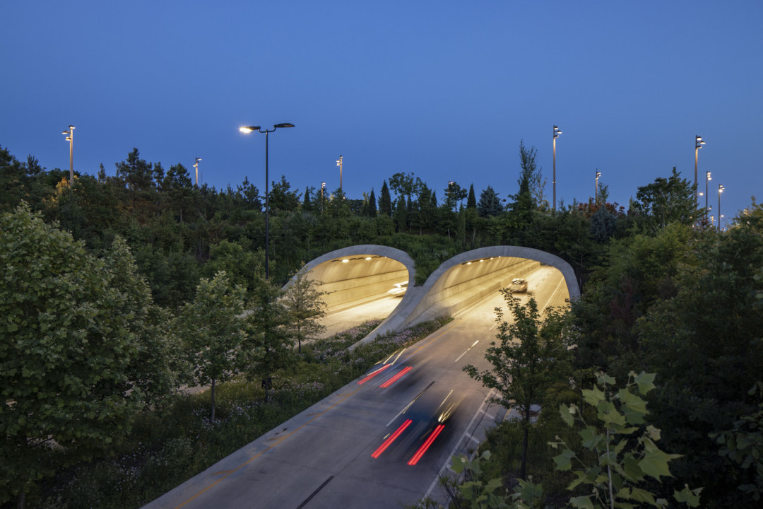 Hypar-nature Wildlife Bridge