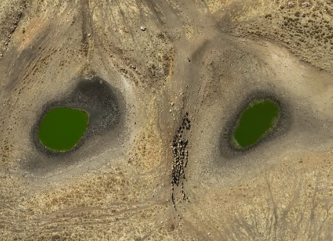 10. Küresel İklim Değişikliği Fotoğraf Yarışması