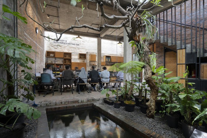 Biyofilik Ofis Örnekleri