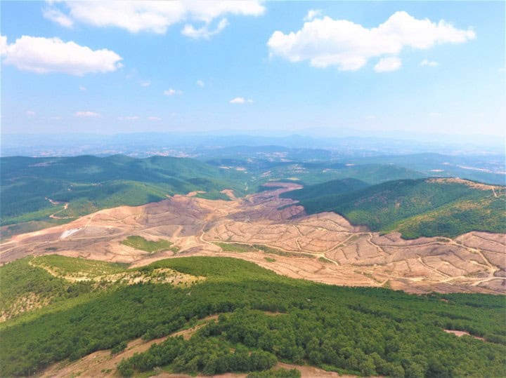 Kaz Dağları’ndan Sevindirici Haber