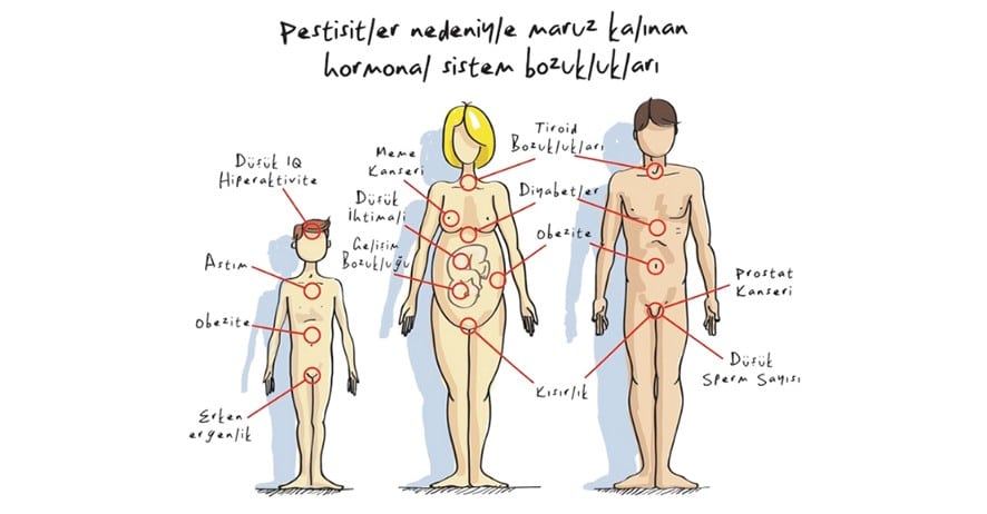 Pestisitlerin sağlık üzerindeki etkisi