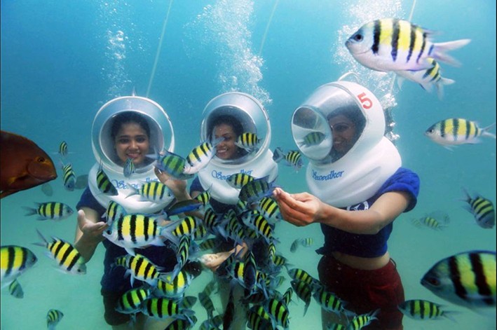 Yüzen Şehirde Aktiviteler