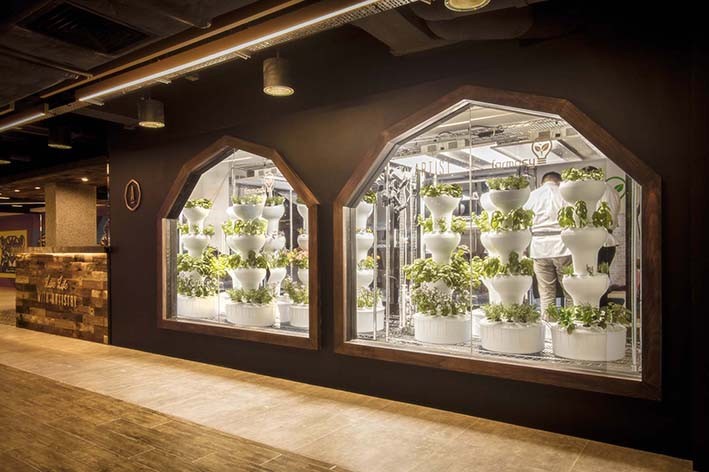 aqua farm avoid architecture