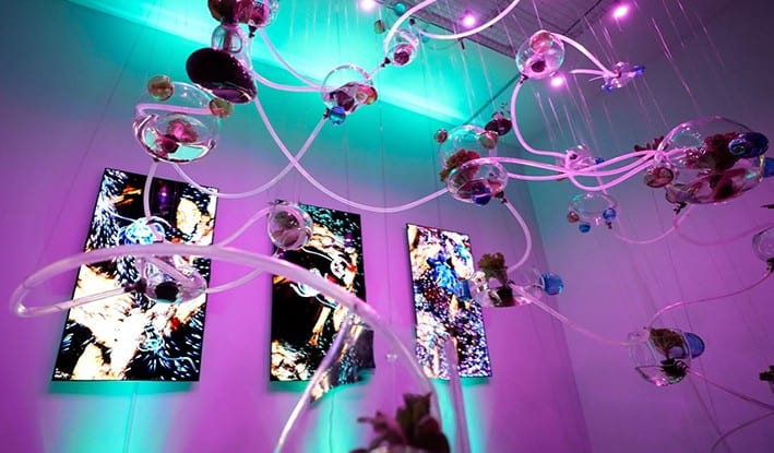 İstanbul'da Mart Ayı Sergiler