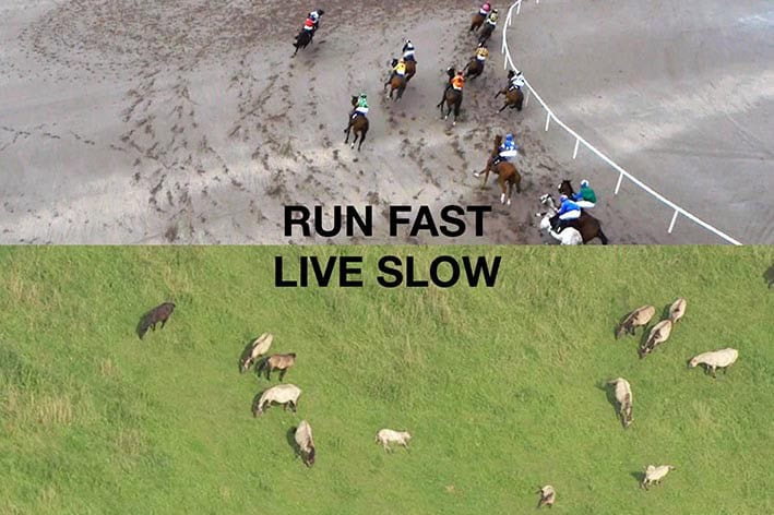 Kentsel Planlama Örnekleri