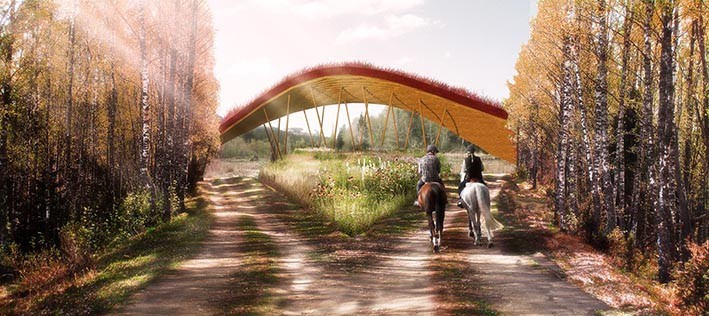 Kamusal Alan Park Örnekleri