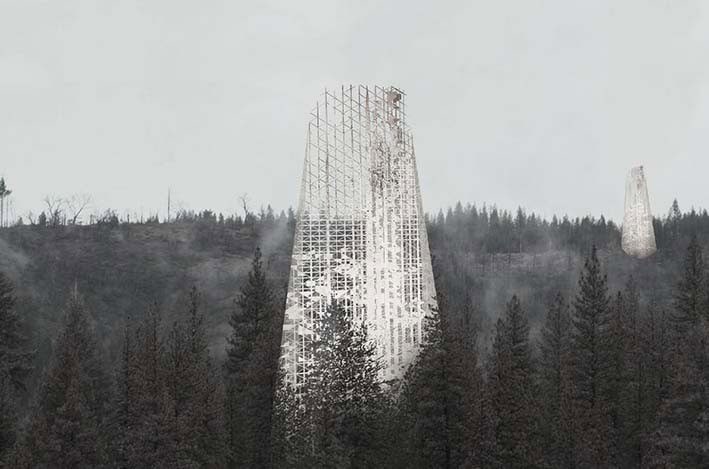 Yanmış Ormanlar İçin Yeni Bir Çözüm: Eriyen Regenera Gökdeleni