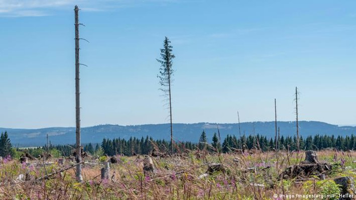 Kil Kökenli Yapı Malzemeleri