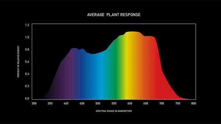 Göz Kamaştırıcı Dış Mekân Enstalasyonu, Tarımda Sürdürülebilirliğe İlham Vermek İçin Işığı Kullanıyor