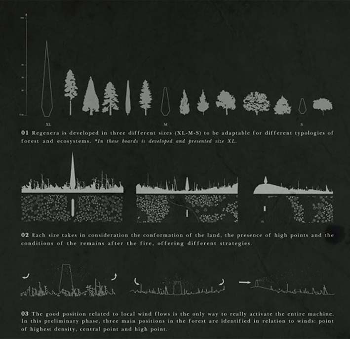 Yanmış Ormanlar İçin Yeni Bir Çözüm: Eriyen Regenera Gökdeleni