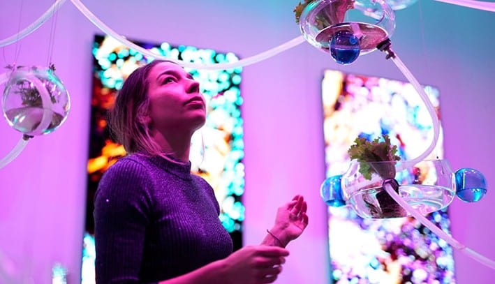 Kentsel Tarım Enstalasyonu