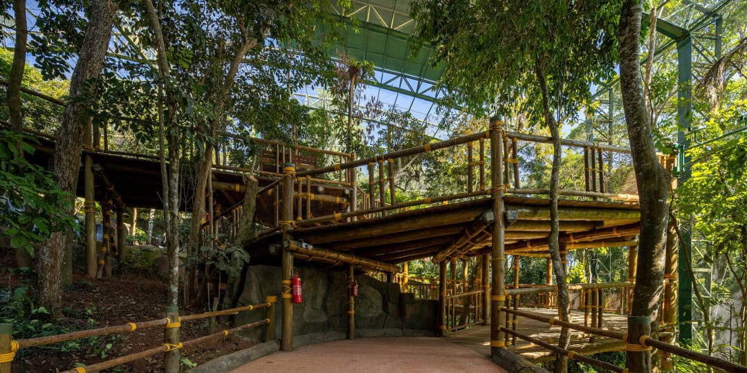 AM2 Arquitetura Sürükleyici Yeşil Biyo Park Geliştiriyor