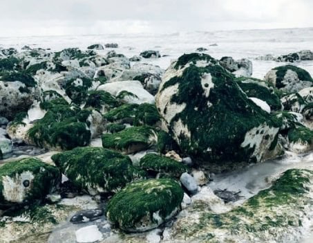 ALG VE KİLDEN EKO KÖY