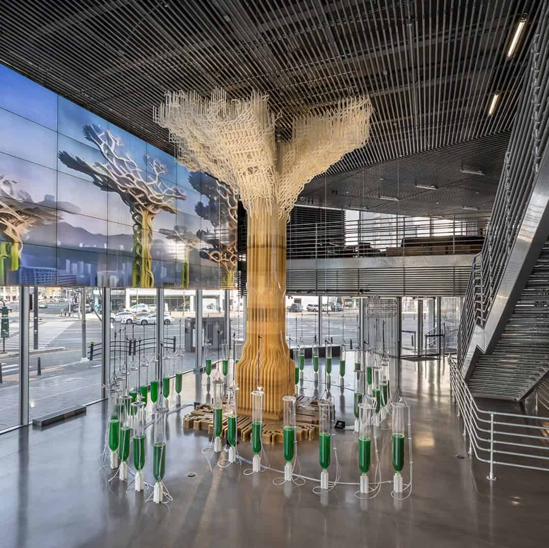 Algler Havayı Temi̇zleyen Bi̇yopoli̇mer Ağaca Dönüştü Algler Havayı Temi̇zleyen Bi̇yopoli̇mer Ağaca Dönüştü