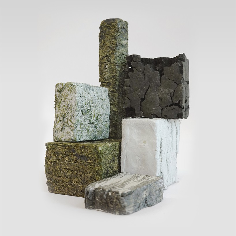 Algler Yapı Malzemesine Nasıl Dönüşür