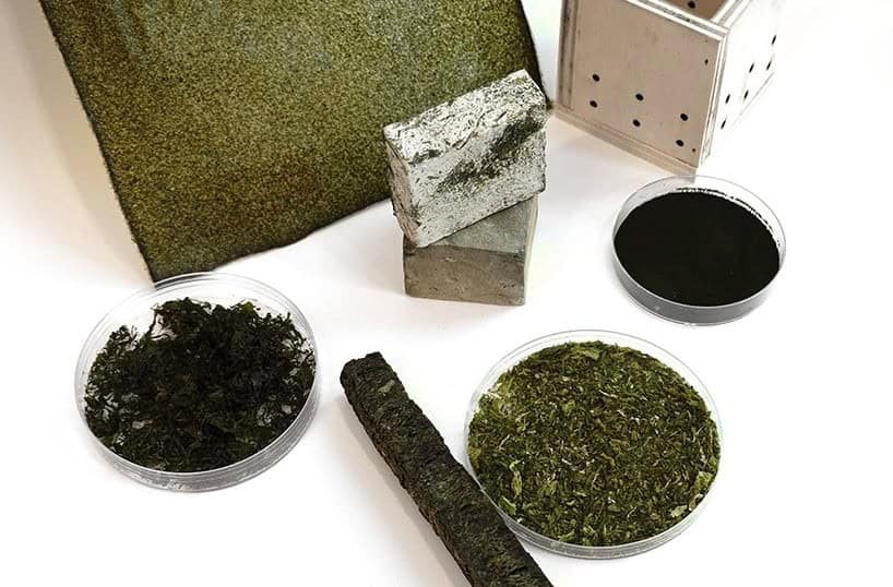 Algler Yapı Malzemesine Nasıl Dönüşür