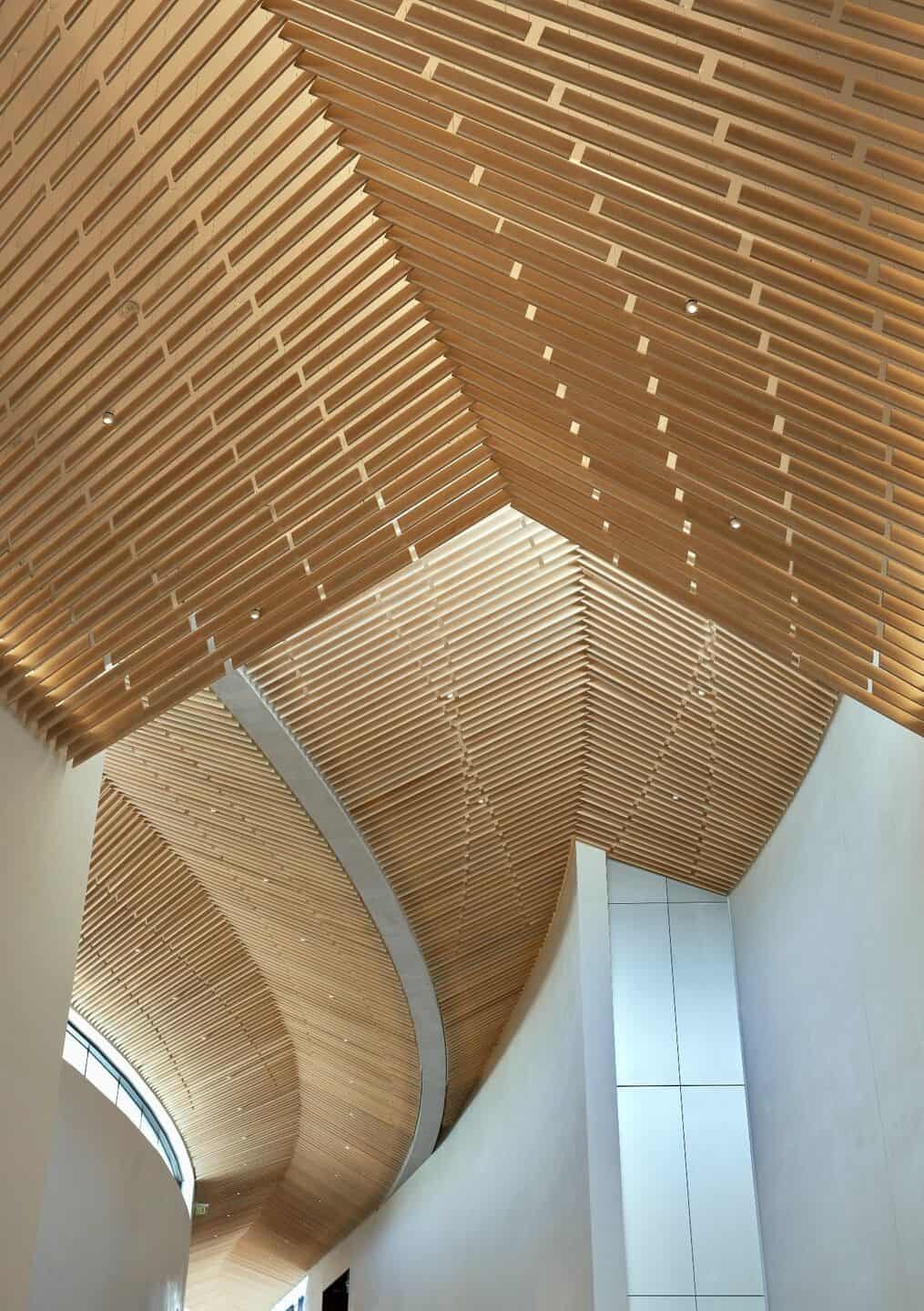 Arkansas Güzel Sanatlar Müzesi