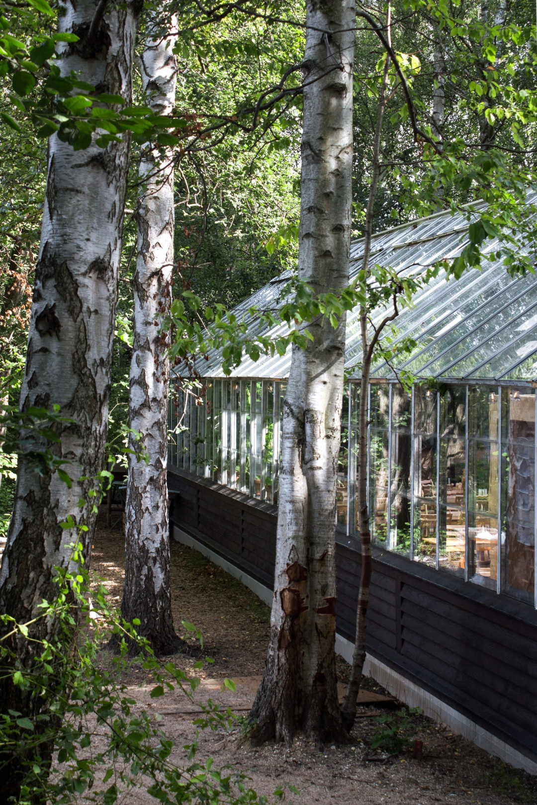 Asırlık Cam Sera Sürdürülebilir İklim Sınıfına Dönüştürüldü