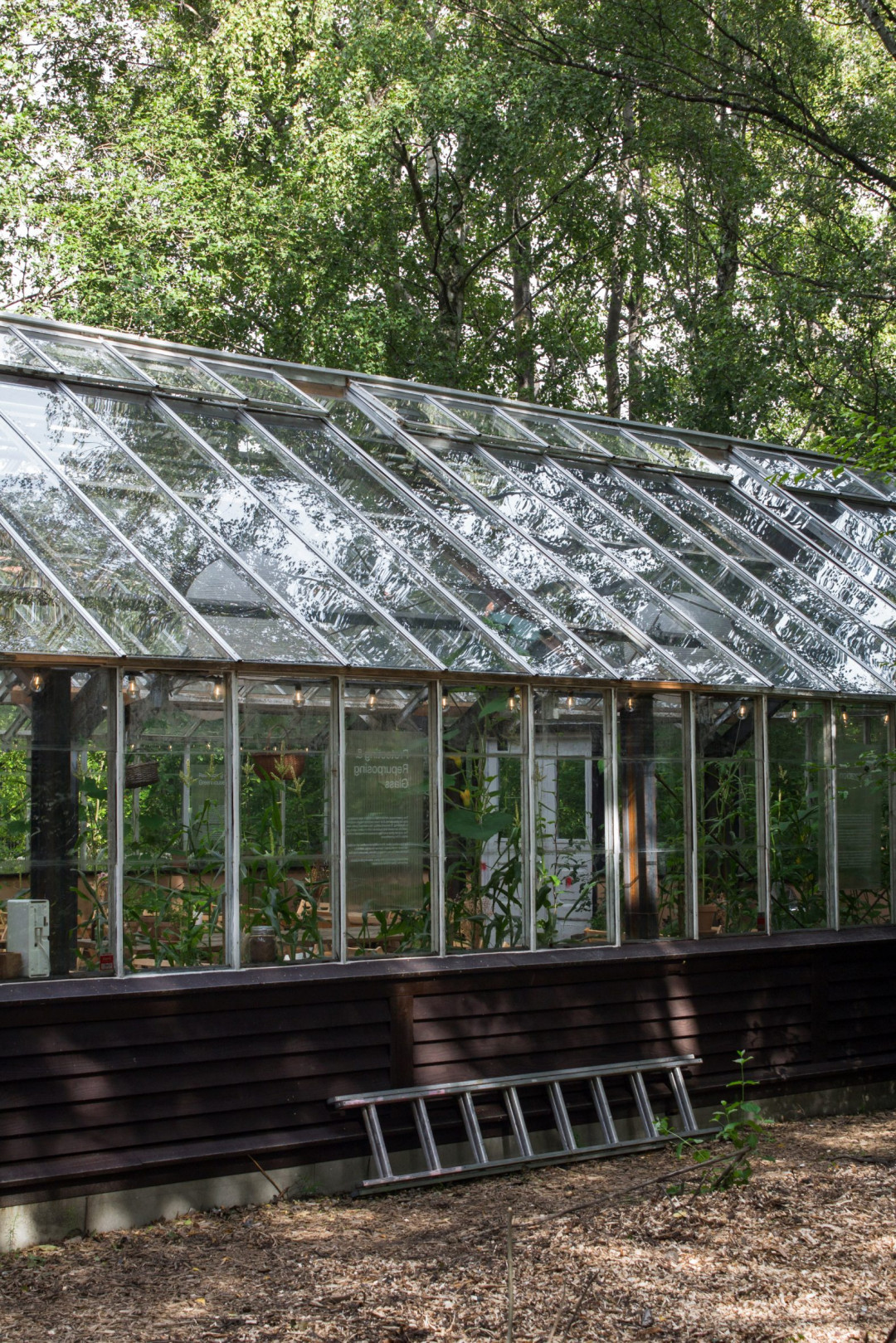 Asırlık Cam Sera Sürdürülebilir İklim Sınıfına Dönüştürüldü