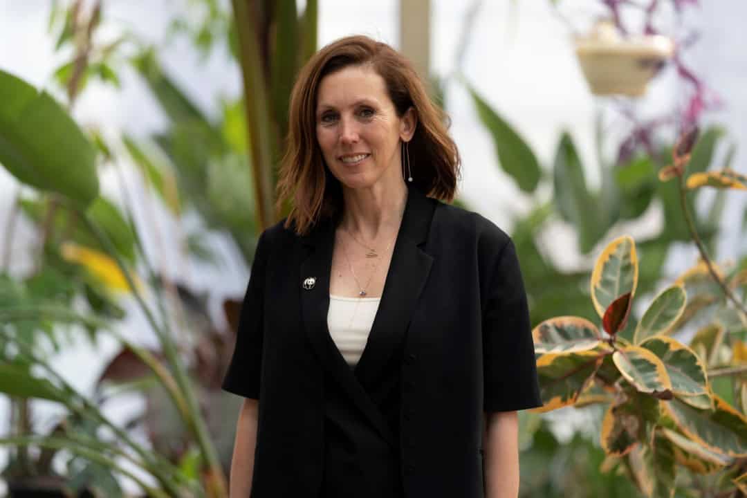 WWF-Türkiye ve İklim Krizi WWF-Türkiye ve İklim Krizi