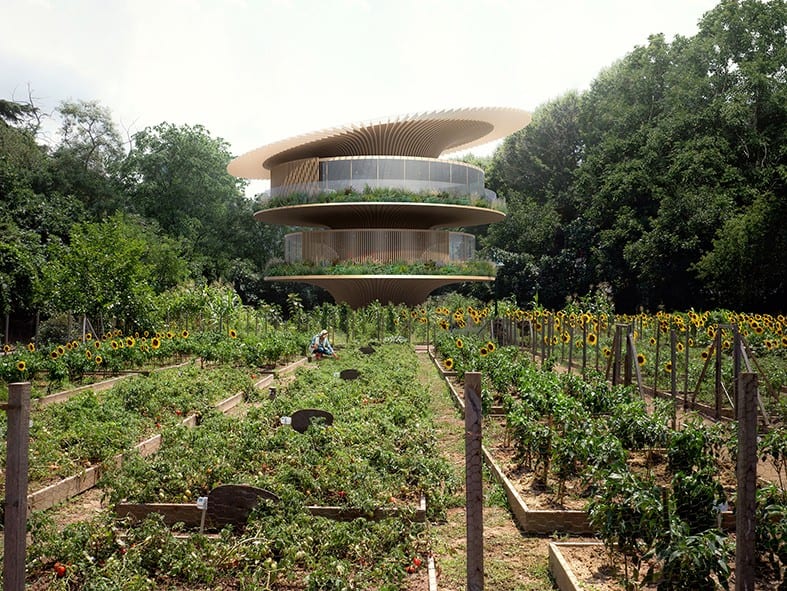 Ayçiçeği Evi Ayçiçeği Evi