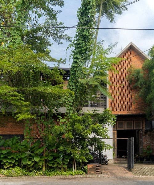 Bambudan Yapılan 'Nefes Alan Duvarlar'