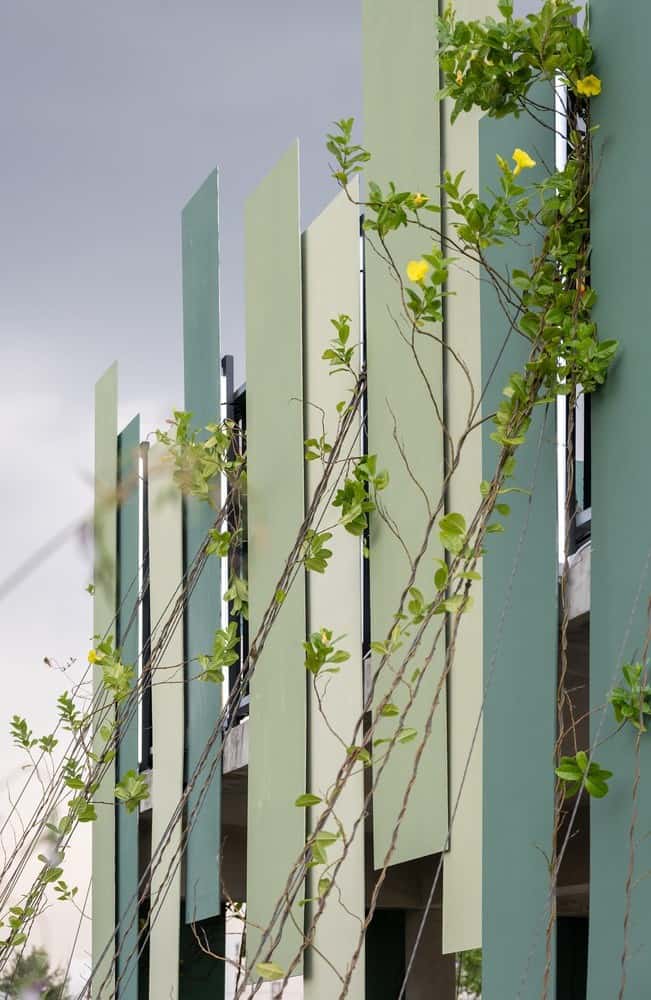 Benchakitti Yağmur Ormanı Gözlemevi