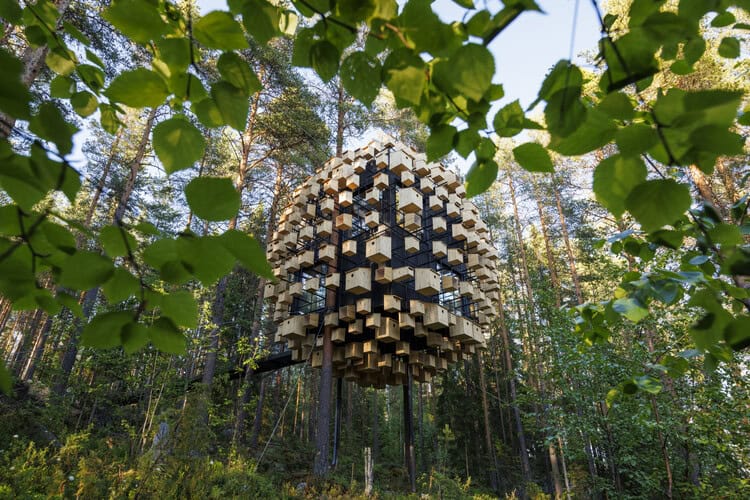 Biosphere Treehotel