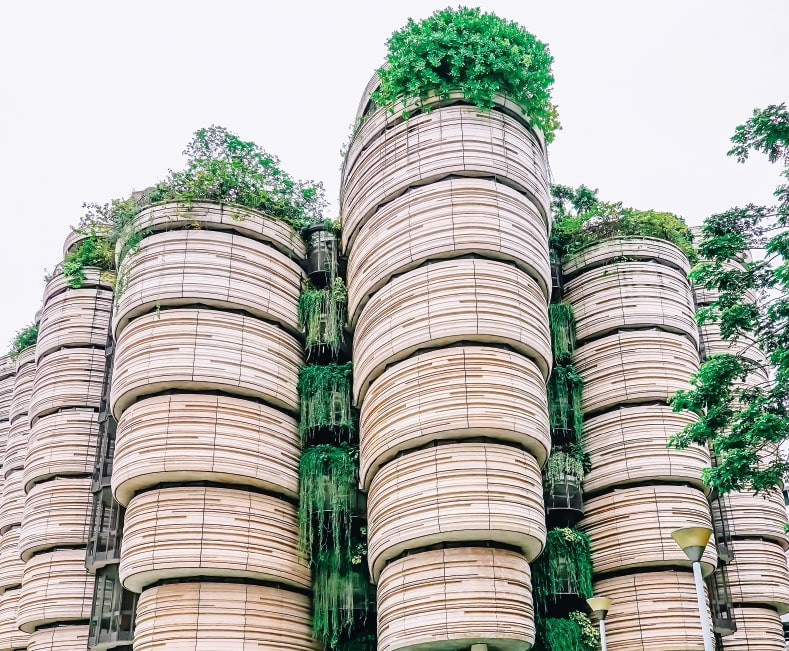 Bitkilendirilmiş yeşil çatı