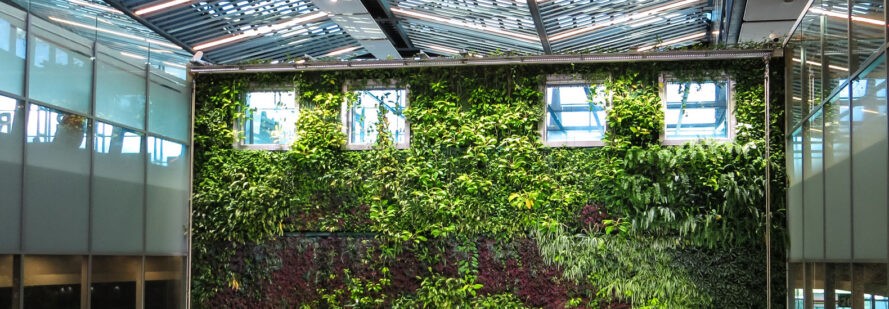 Yaşayan yapı malzemeleri