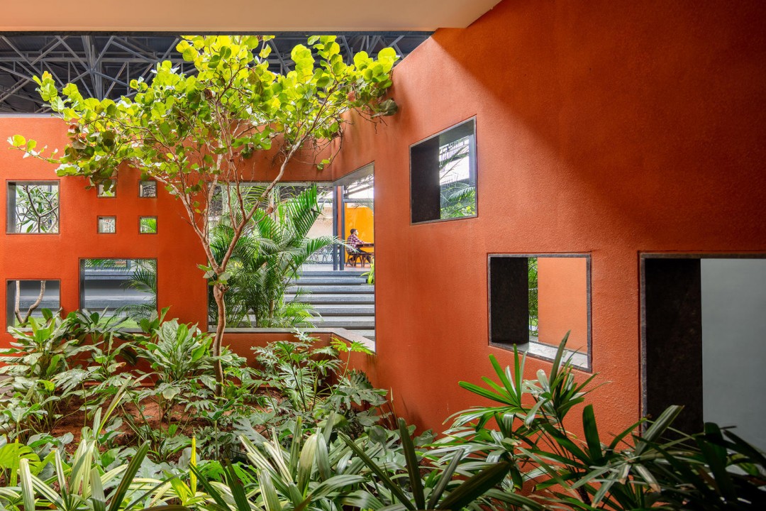 Biyofilik Ofis Tasarımları