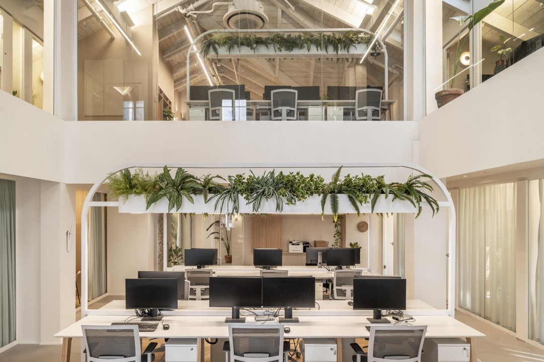 Biyofilik Ofis Tasarımları