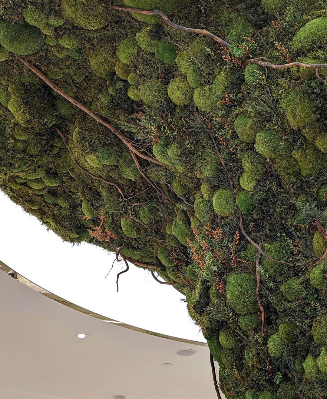 Biyofilik Tasarımla Tasarlanan Lüks Çanta Mağazası