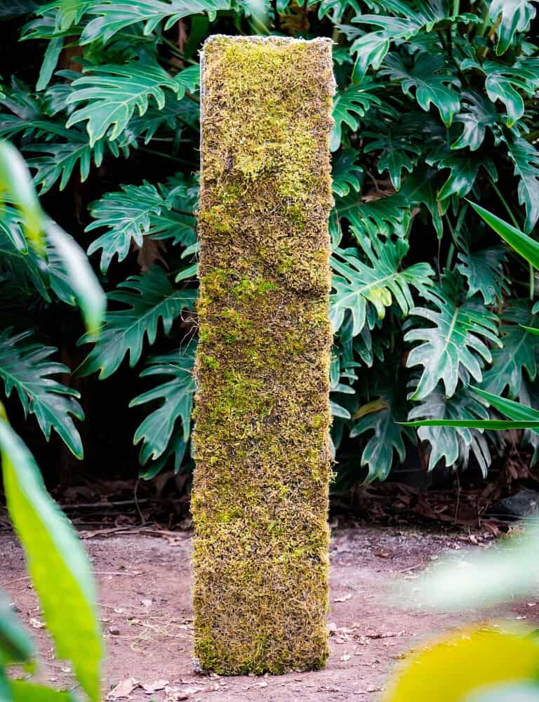 Biyolojik Olarak Geçirgen Beton