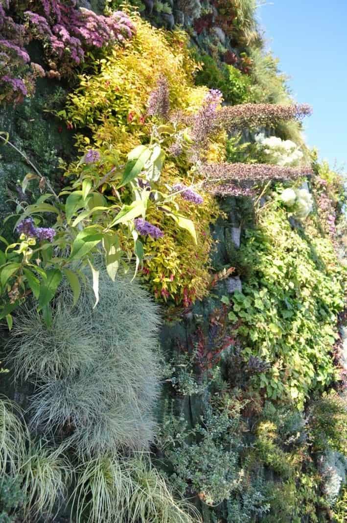 Yeşil Duvar Örnekleri