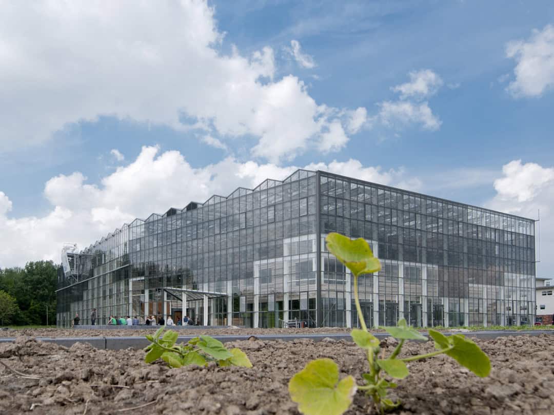 CAH Dronten CAH Dronten