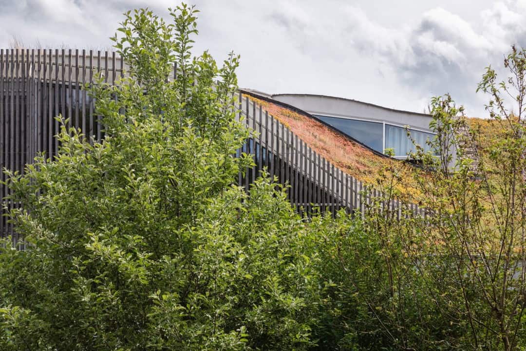 Çek Cumhuriyeti'ndeki Çimlerle Kaplı Yeşil Yapı Çek Cumhuriyeti'ndeki Çimlerle Kaplı Yeşil Yapı