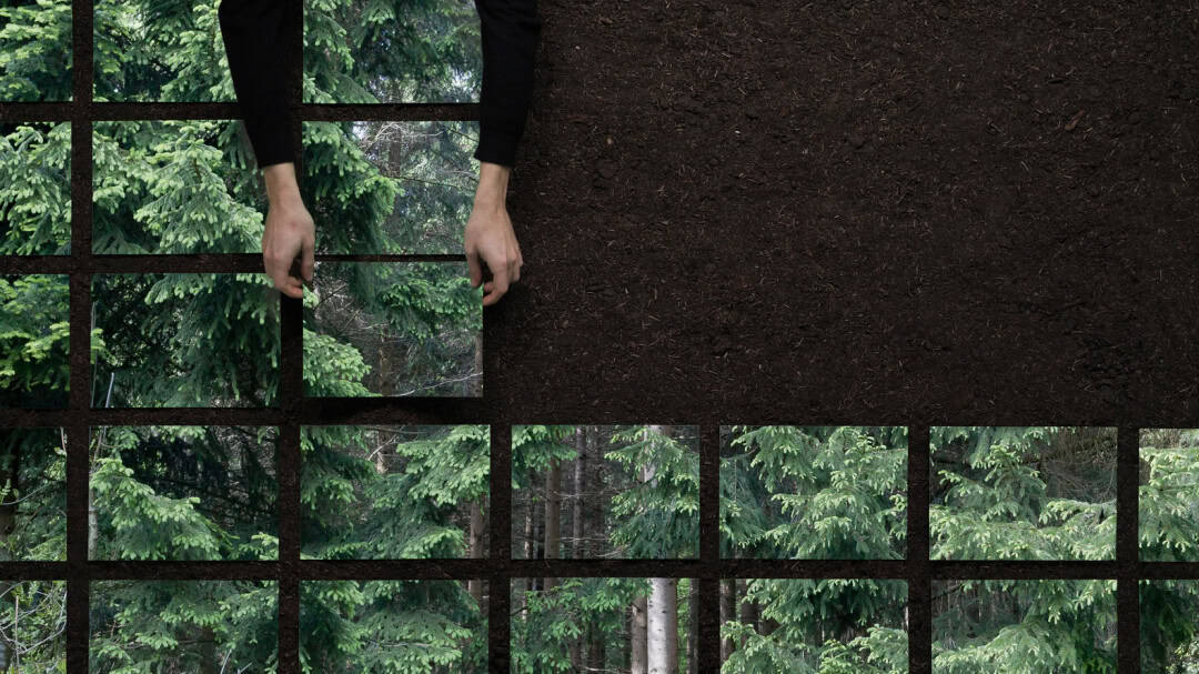 Çıkarma politikaları