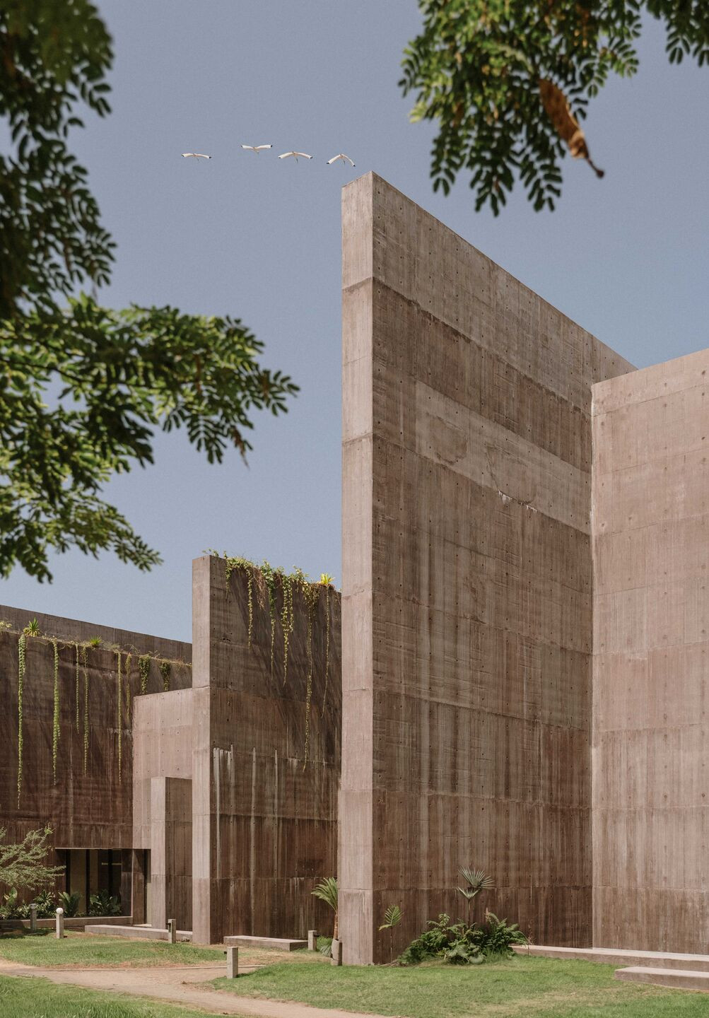 Cortez Denizi Araştırma Merkezi Cortez Denizi Araştırma Merkezi