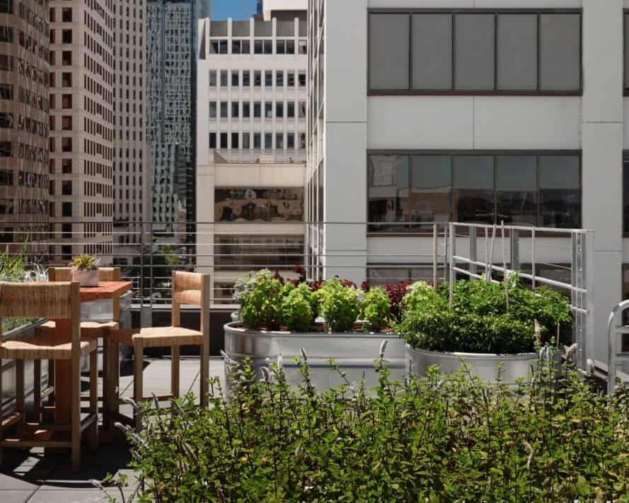 Ekoturizmi Ön Plana Çıkaran Sürdürülebilir Bir Otel