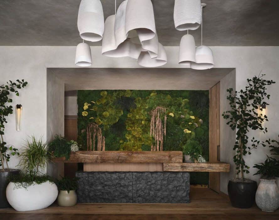 Ekoturizmi Ön Plana Çıkaran Sürdürülebilir Bir Otel