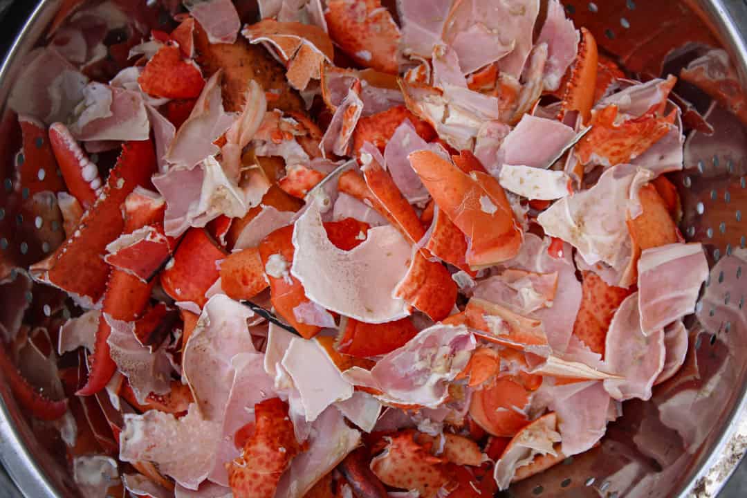 Istakoz Kabukları Istakoz Kabukları