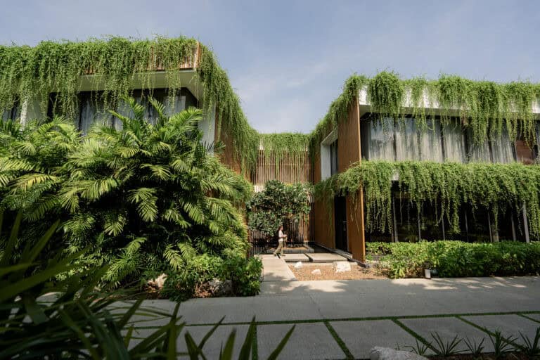 Karbon negatif cephe