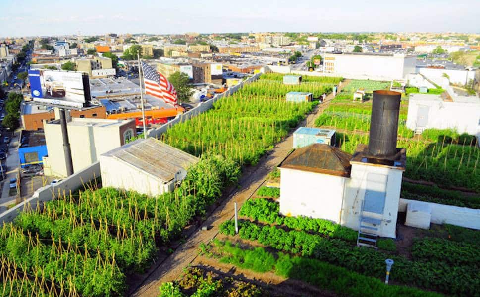 Kentsel Tarım Kentsel Tarım