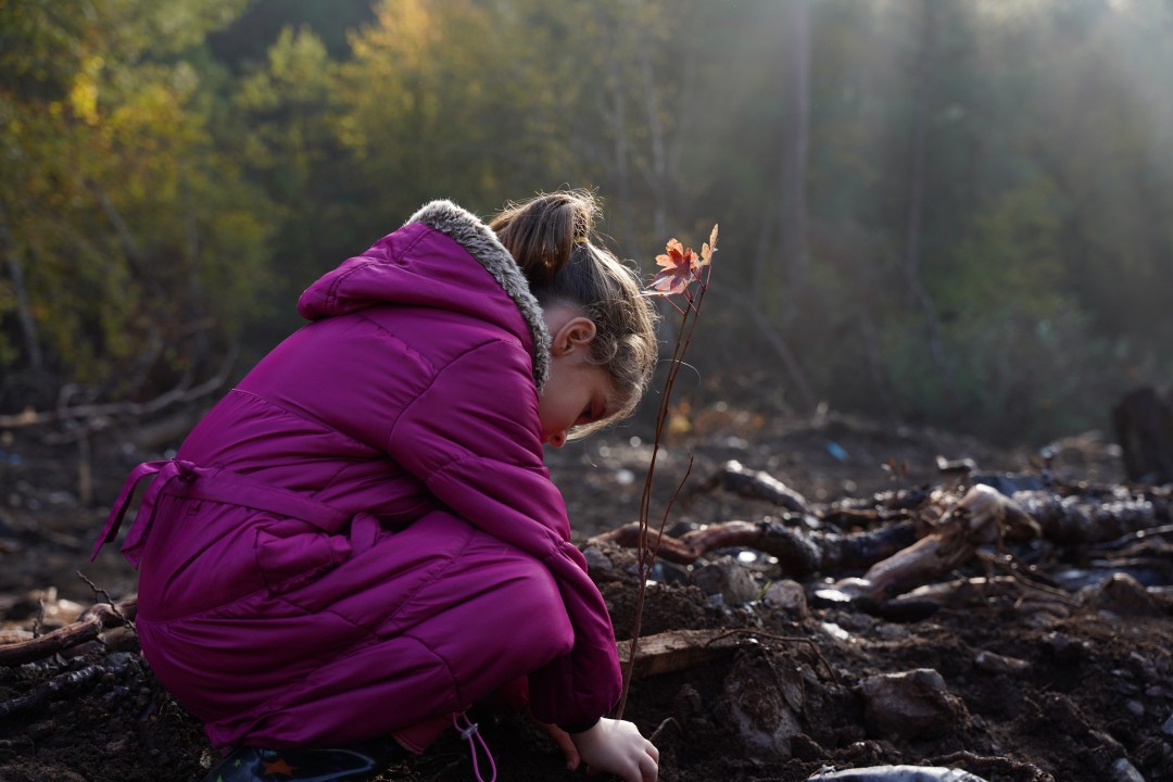 Kızılbük GYO ağaç dikimi