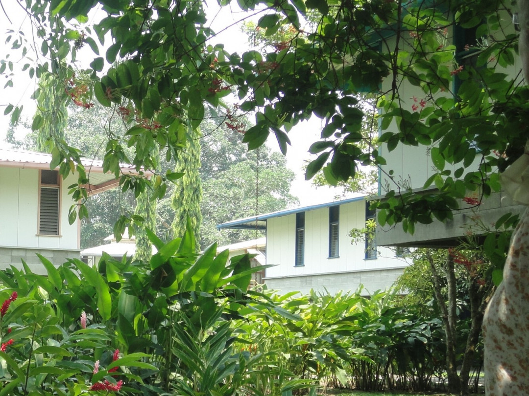 San Pedro Sula’da konutlar