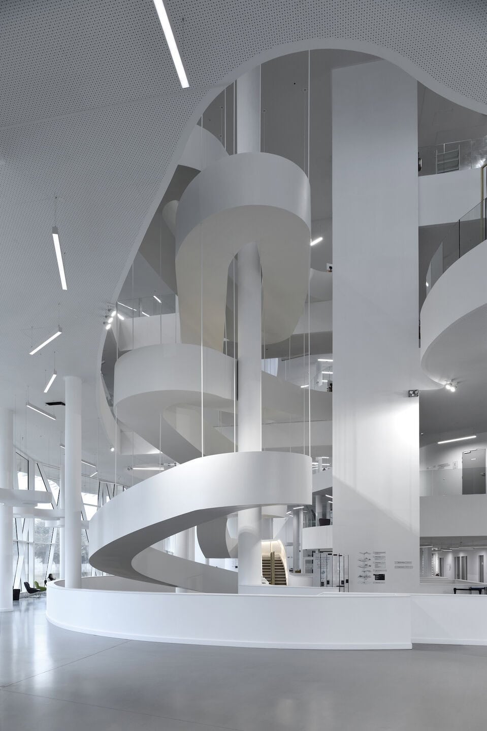 Le Studium Le Studium