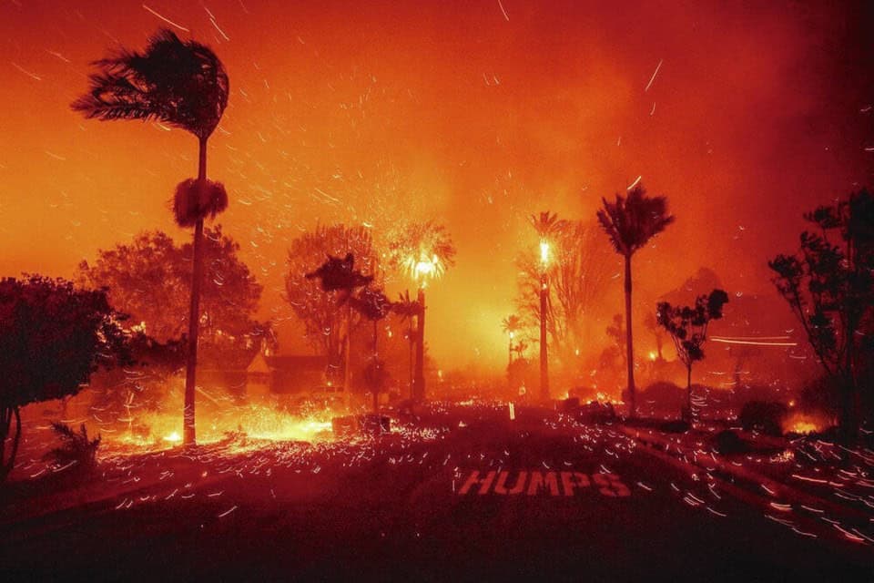 Los Angeles Orman Yangınları
